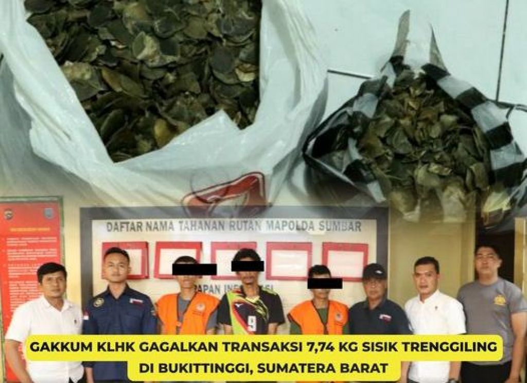 Tersangka jual beli Sisik Trenggiling