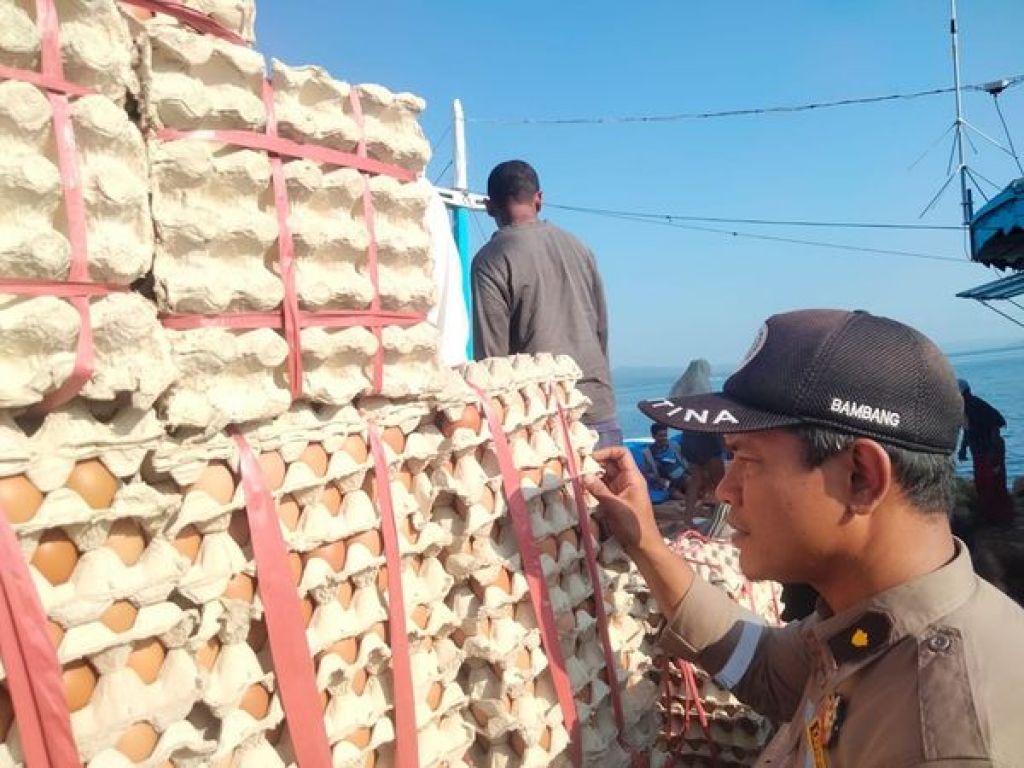 Pejabat karantina memeriksa telur ayam