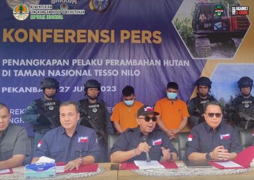 Konpers kasus perambahan di Kawasan Hutan Konservasi Taman Nasional Tesso Nilo