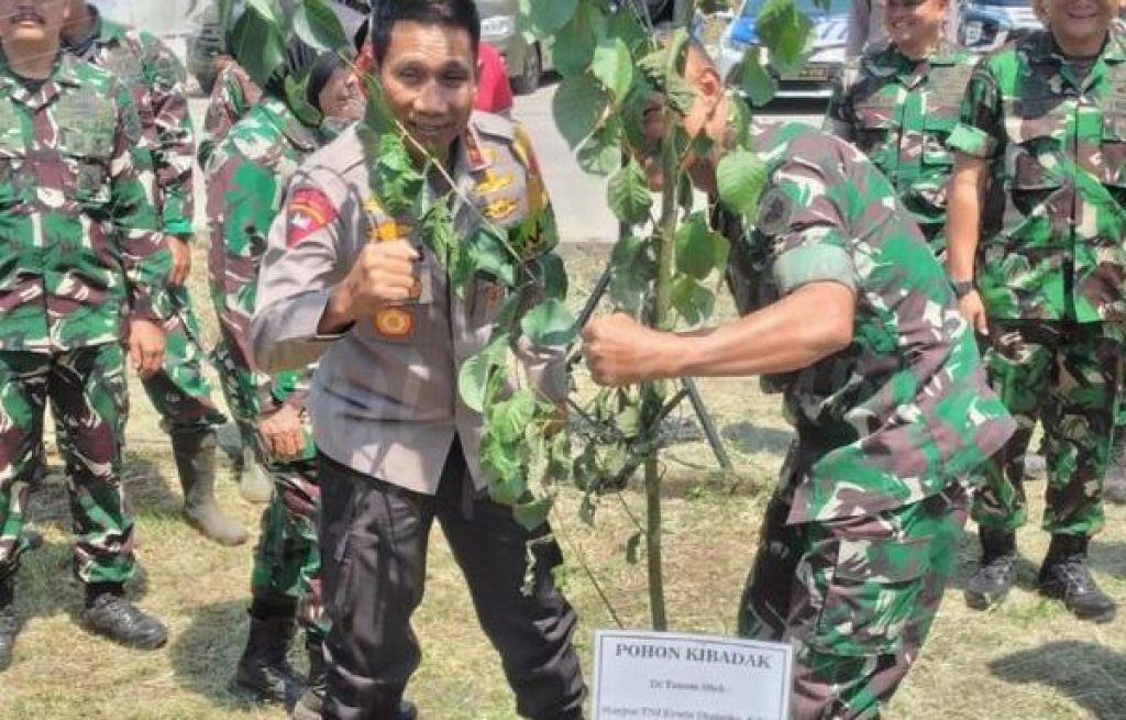 Penanaman sejuta pohon.