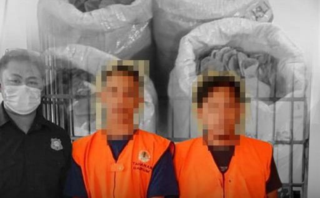 FAP (31 tahun) dan MR (31 tahun) dalam kasus peredaran dan perdagangan 20 Kg sisik Trenggiling 