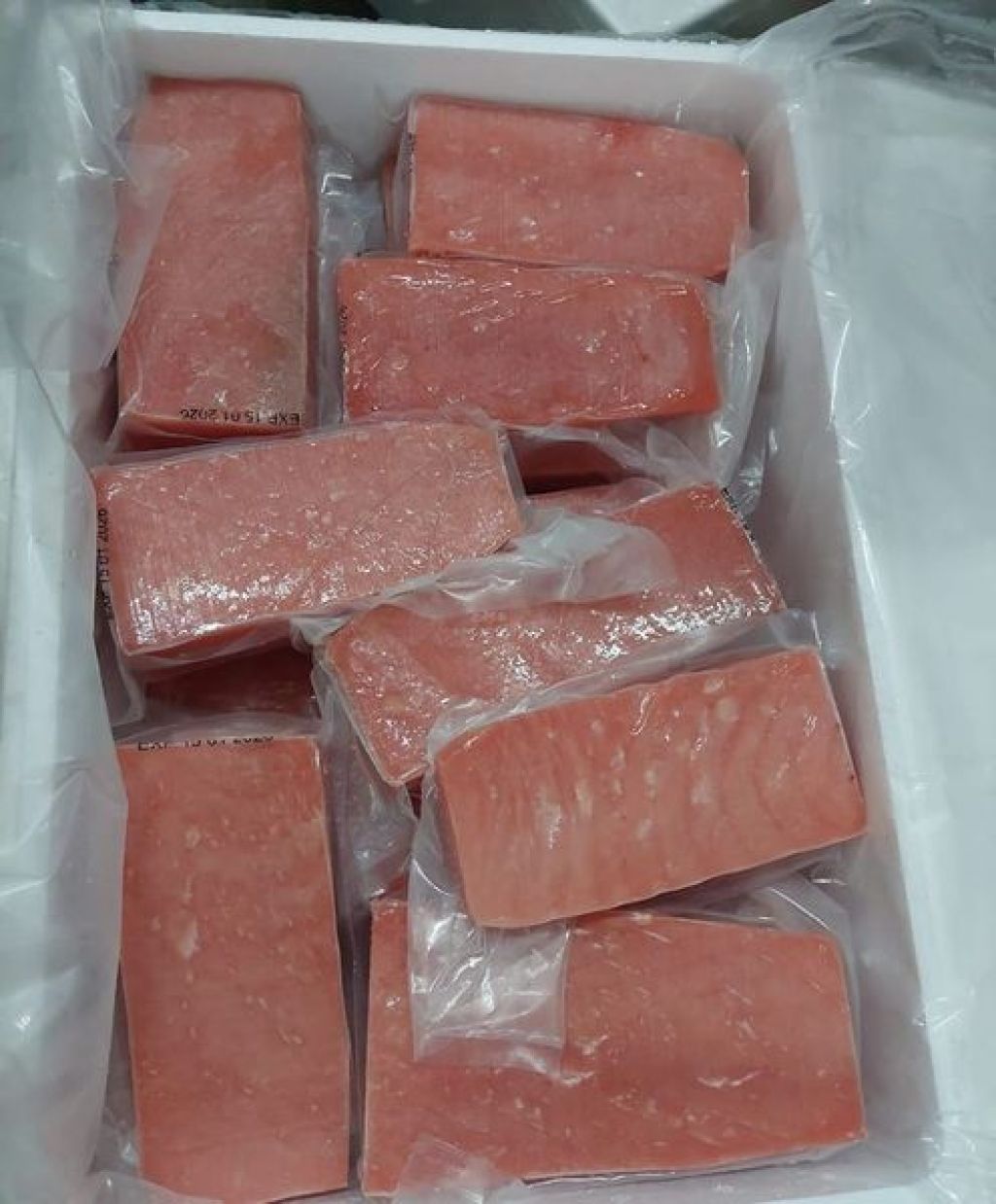Daging tuna beku