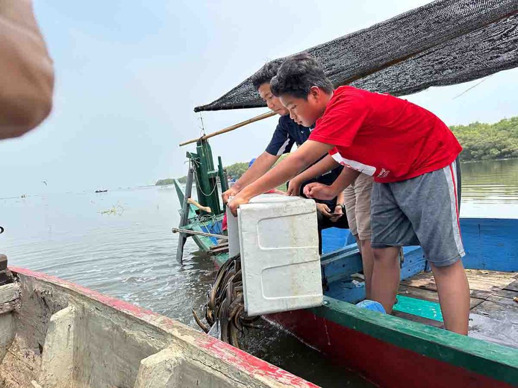 Seorang anak melepas satwa di kawasan mangrove